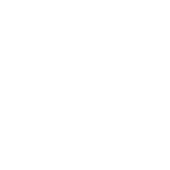 Apple Consultant